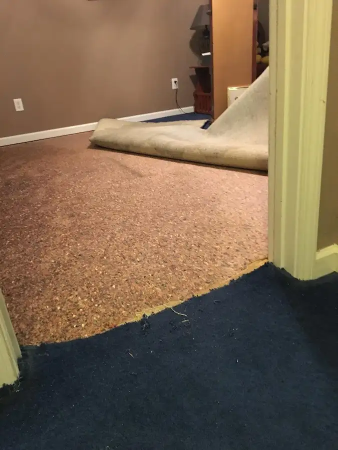 Carpet pad removal revealing water damage during Water Mitigation Services in Groveland